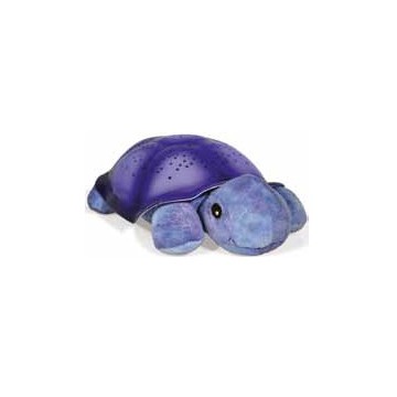 Tortue lumineuse