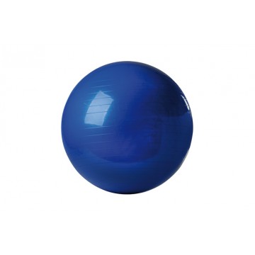 Ballon de Gym - Push Ball Ø 100 cm