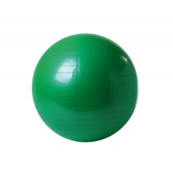 Ballon de Gym - Push Ball Ø 55 cm