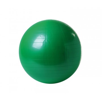 Ballon de Gym - Push Ball Ø 55 cm
