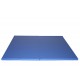 Tapis pliant en 2 parties 300 x 100 cm Bleu