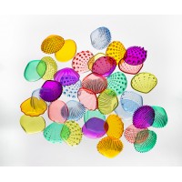 Set de coquillages