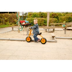 Porteur Walker 3 ans et +