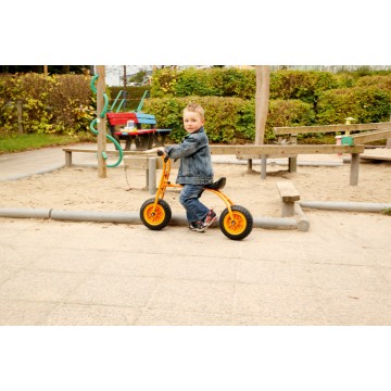 Porteur Walker 3 ans et +