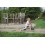 Porteur Little Balance 24 mois et +